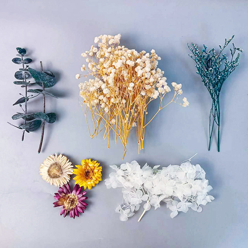 1 zestaw różnorodnych suszonyc – Craft Embellishment recenzja i cena