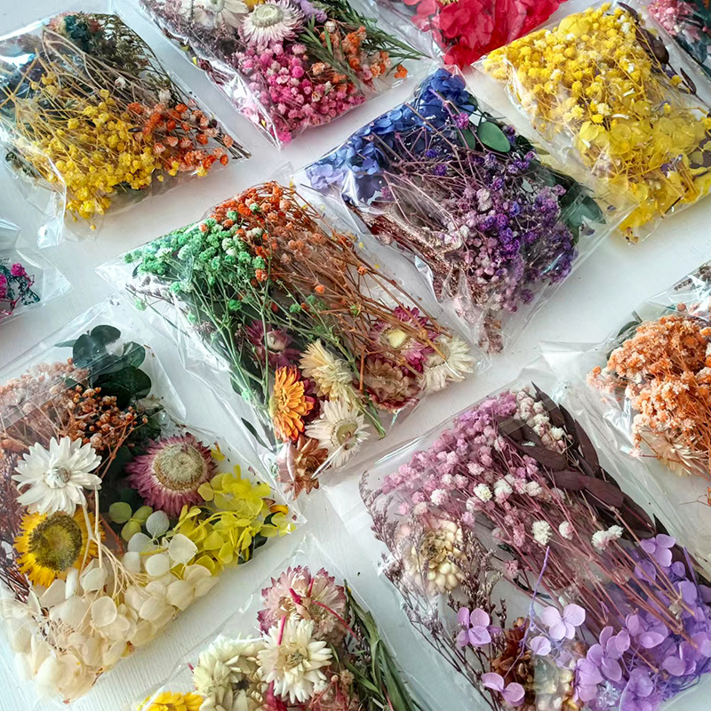 1 zestaw różnorodnych suszonyc – Craft Embellishment recenzja i cena