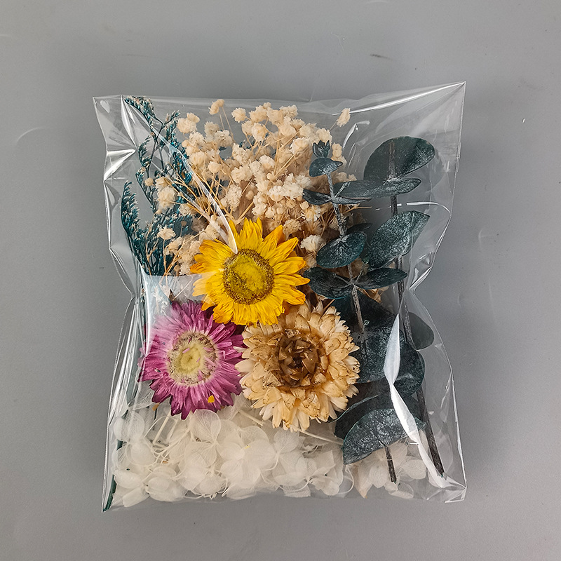 1 zestaw różnorodnych suszonyc – Craft Embellishment recenzja i cena